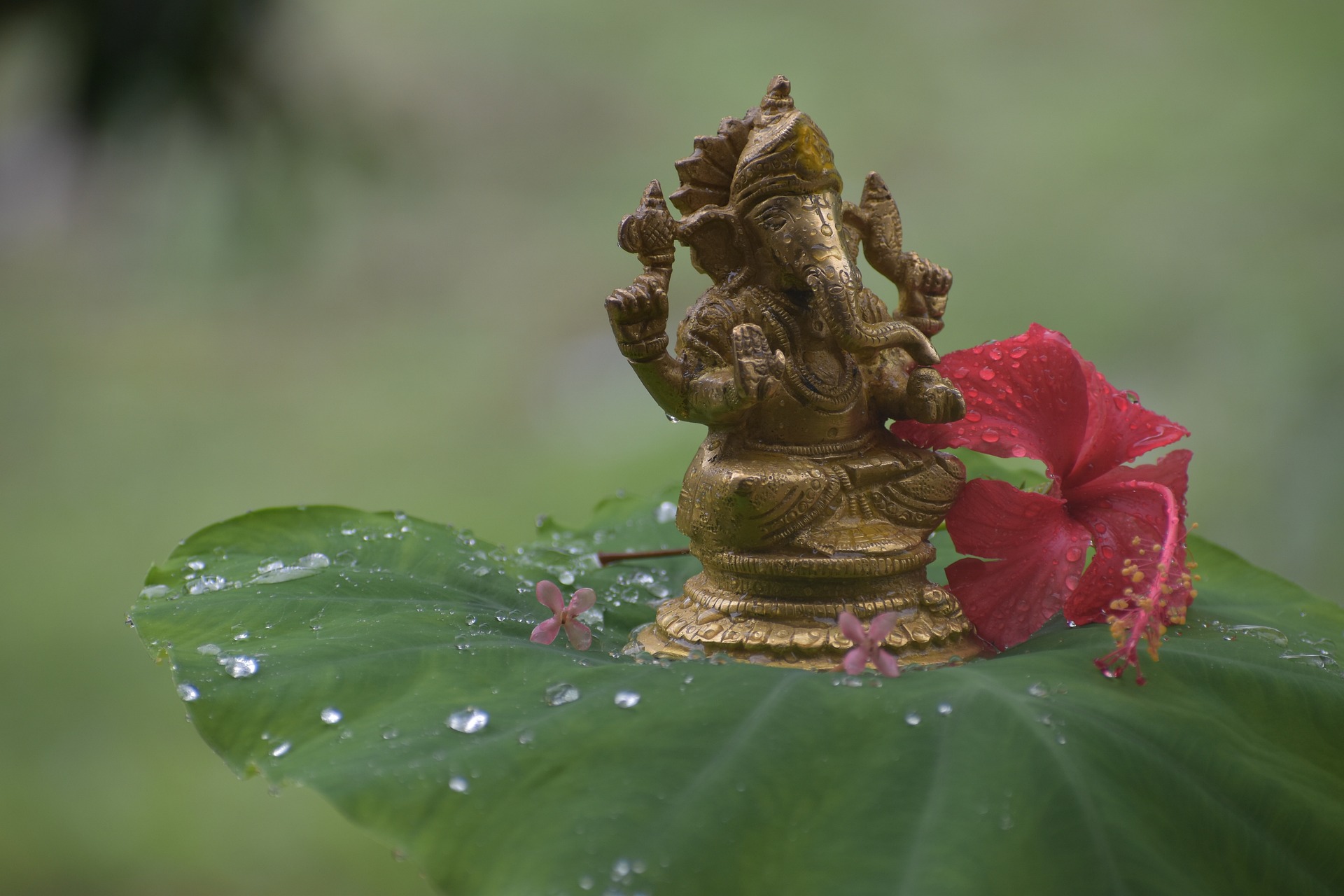 Sankashti Chaturthi