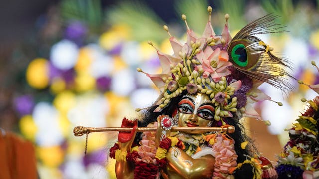 krishna